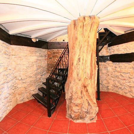 Castelul Lupilor Hotell Chimindia Eksteriør bilde